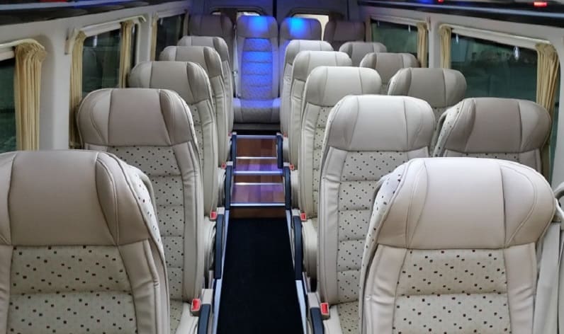 Austria: Coach company in Lower Austria in Lower Austria and Mistelbach