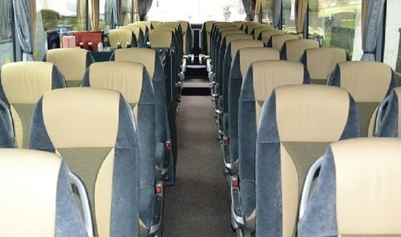 Austria: Coach operator in Vienna in Vienna and Vienna